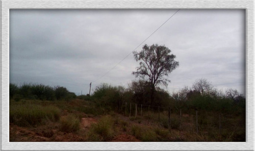 Campo En Venta En Patquia, La Rioja