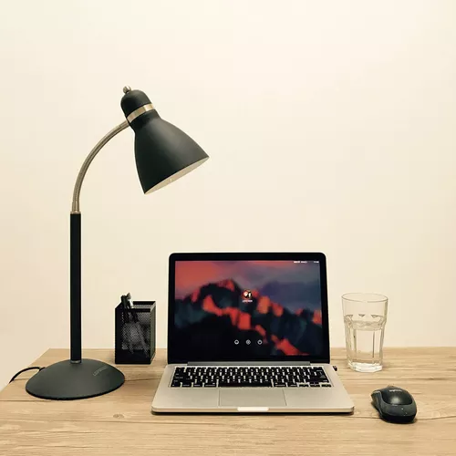 LEPOWER Lámpara de escritorio de metal, lámpara de mesa para cuidado de los  ojos, lámparas de estudio con cuello de ganso flexible para dormitorio