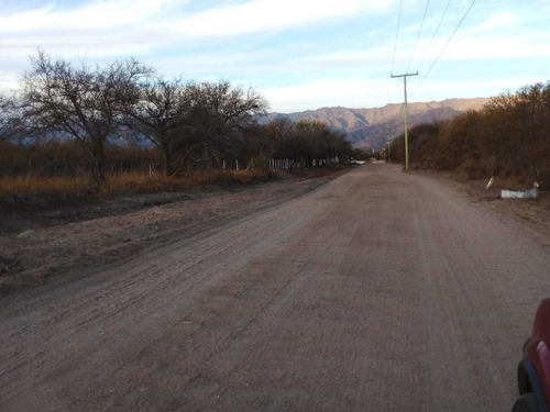Imagen 7 de 11 de Terrenos En San Luis