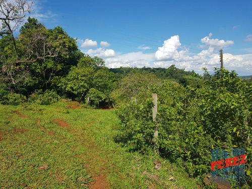 Chácaras_sítios_fazendas Para Venda - 13650.5197