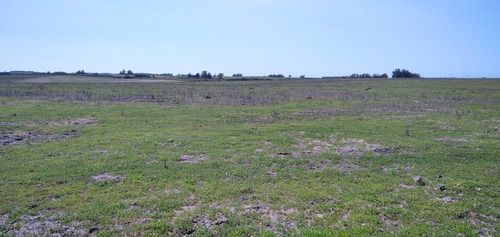Campo En Venta