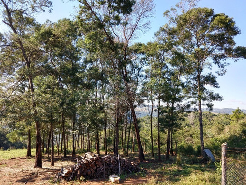 Chácara 20.000 M² - Lomba Grande - Novo Hamburgo - Rs - 1819 - 32578114