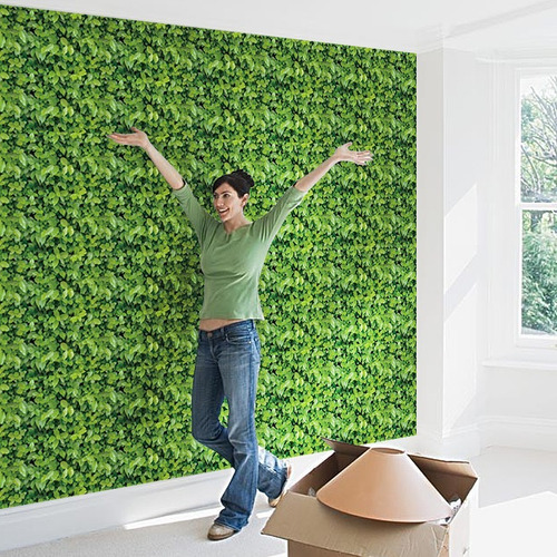 Imagen 3 de 9 de Papel Tapiz De Hojas Verdes Autoadherible Pared