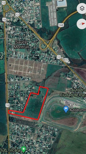 Imagen 2 de 4 de En Venta!! 25has. - Linderas Al Autódromo Ciudad De Paraná