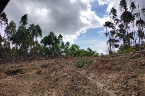 Imagem 3 de 29 de 06-terreno A Venda Com 1000m No Interior !!!