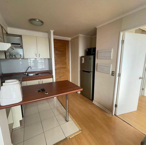 Arriendo De Departamento En Concepcion