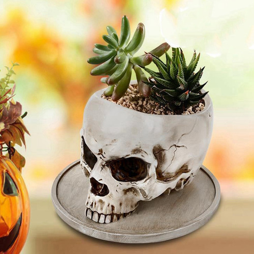 Contenedor Multifuncional For Calaveras De Halloween Con Fo