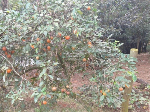 Imagem 7 de 14 de Vende-se Terreno Bairro Redentor Estrada De Igaratá- Sp -923