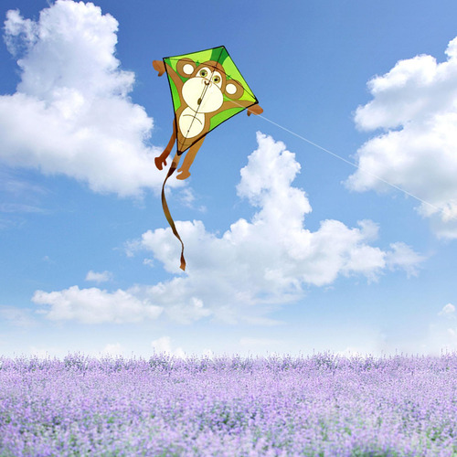 Kite Para Niños Y Adultos Increíbles Cometas De Pájaros