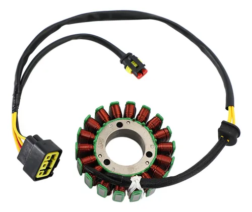 Stator Coil For Tm Racing En250 Mx250 En300 Mx300 2t