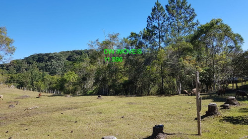 Imagem 25 de 30 de Juquitiba/belo Sitio/ac/propostas /entrada + Parcelas. - 04993 - 68070741