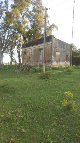Chacra En Gualeguaychú, Entre Ríos.