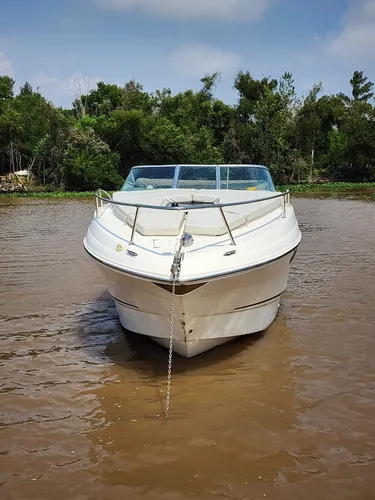 Crucero Canestrari 275 Mercruiser 300 Hp Pata Bravo 3