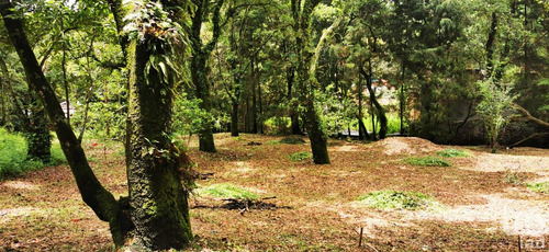 Venta Terreno 0 Ambiente Los Ocotes