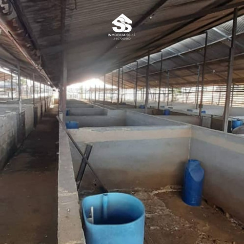 Finca En Venta - Guárico - Granja De Porcina