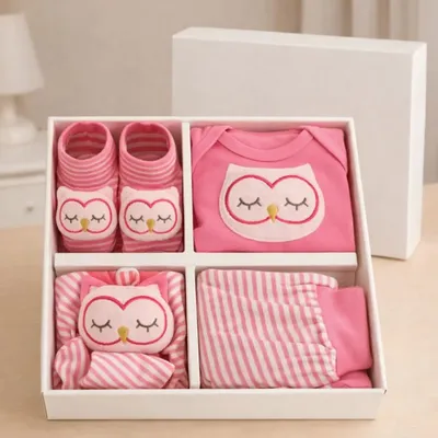 Kit Presente Bebê Recém Nascido Body Mijão Pantufa E Naninha Coruja Pink P Menina