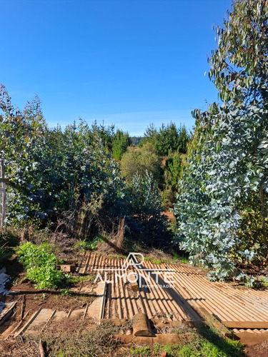 Propiedad 690 M2 Ubicada En Cerro Alto Los Alamos