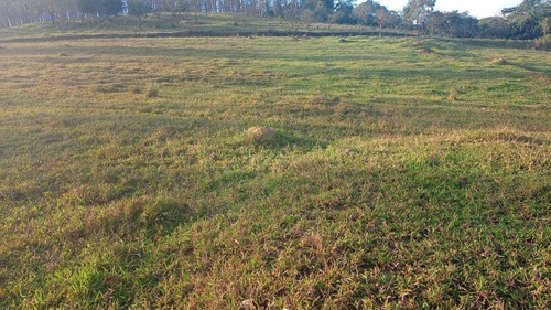 Imagem 8 de 9 de V11-sua Terra Direto Com Proprietario