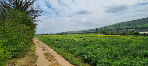 Hermosa Y Bien Ubicada Parcela En Los Laureles Limache