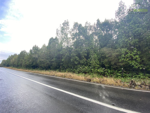 Terreno De 3 Hás A Orilla De Carretera - Polincay