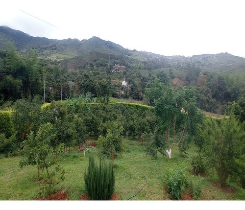 Finca Tocotá