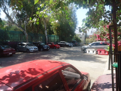 Yolanda Con La Paz / Villa La Escuelita