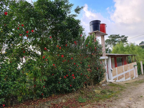 Imagen 5 de 14 de Finca En Cachipay Cundinamarca