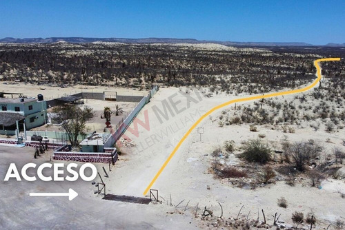 Terreno De 1,000 Ha En Km 97 Carretera A C.constitucion Con Ojo De Agua B.c.s.