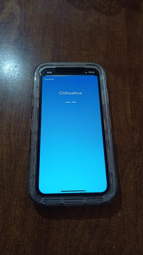Celular iPhone 11 64 Gb, Gris Oscuro, Cargador, Y Funda (Usado)