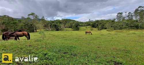 Excelente Sítio Localizado Em Gaspar. Você Precisa Conhecer !!! - 6002872v