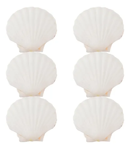 Haiops 6 Conchas De Vieira De 4 Pulgadas, Concha De Mar Blan
