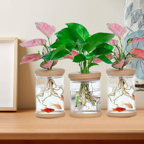 Floreros Hidropónicos Portátiles De 3 Piezas Para Cocina