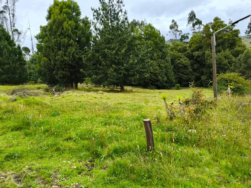 Proyecto Campestre