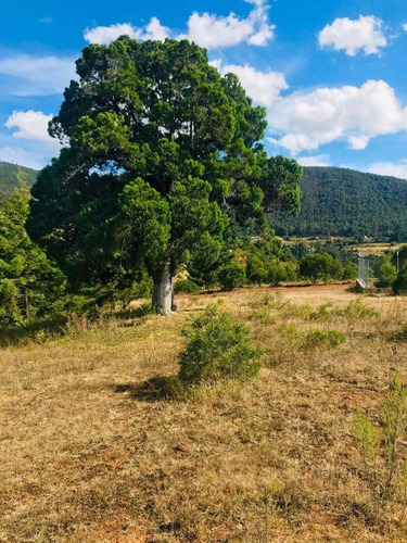 Imagen 12 de 30 de Nuevos Lotes De Terreno En Venta, Tlalpujahua