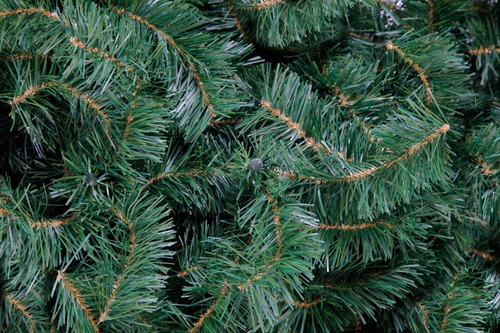 Árbol De Navidad Pino Sierra Verde No5.5 175cm Naviplastic