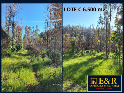 6000 M2 En Colico, Con Ester , Santa Juana (67673)