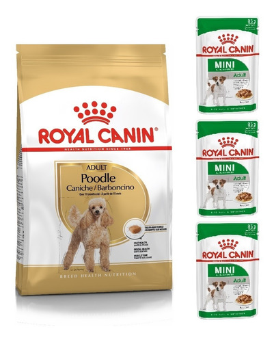 Kit Ração Poodle Adult 1kg E 3 Sachês Mini Royal Canin