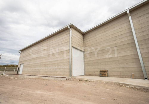 Bodega En Renta En Carretera Salida A Cuauhtemoc Chih.