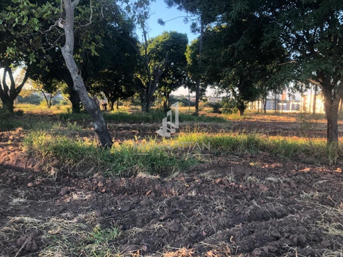 Imagem 4 de 5 de Área À Venda Em Jardim Maria Beatriz - Ar006382