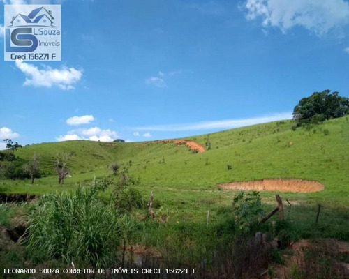 Imagem 13 de 15 de Terreno Para Venda Em Pinhalzinho, Zona Rural - 733_2-1186097