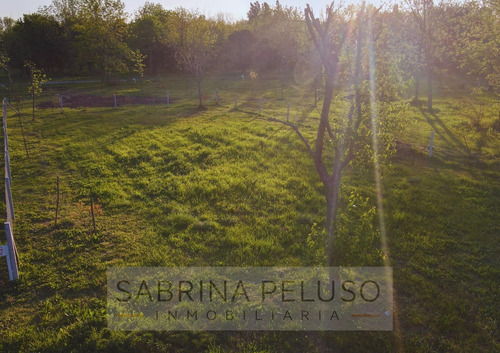 Venta Lote - Las Tres Marias - Moreno - Ruta 25
