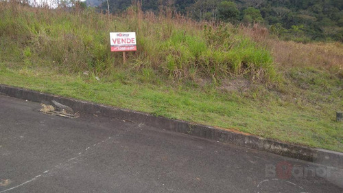 Terreno À Venda, 390 M² Por R$ 179.000,00 - Itoupava Central - Blumenau/sc - Te0303