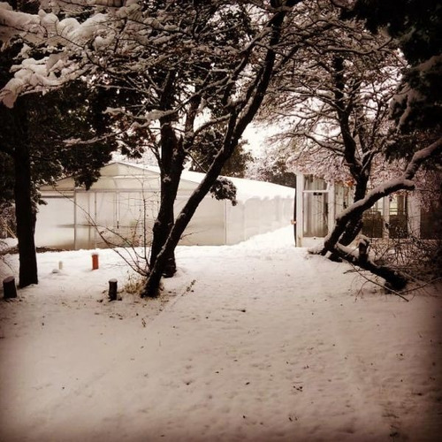 Imagen 13 de 13 de Fracción Con Galpón Y 3 Invernaderos Para Hidroponia.