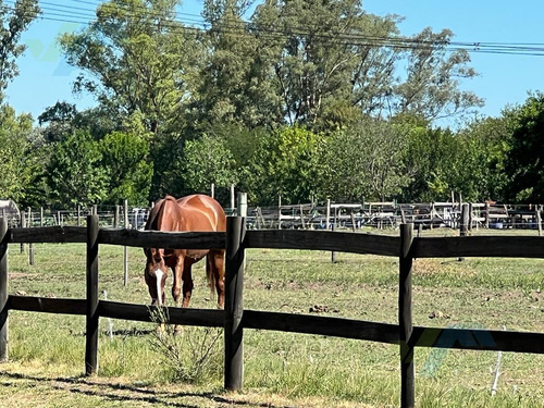 Venta De Terreno En Alto De Manzanares
