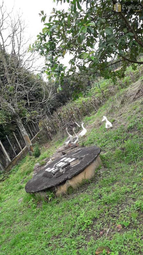 Imagem 26 de 30 de Chácara Com 2 Dorms, Taiaçupeba, Mogi Das Cruzes - R$ 500 Mil, Cod: 2197 - V2197