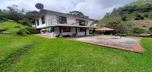 Finca En Venta En La Vereda El Guineo/manizales (279056902).