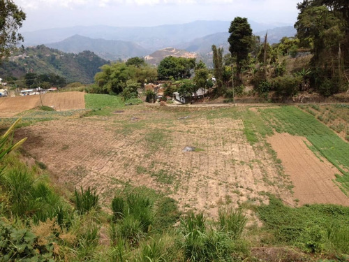 Imagen 12 de 13 de Jsccs,vende Terreno En San Antonio De Los Altos.fp:04241029375