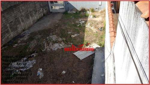 Imagem 7 de 11 de Terreno Para Alugar, 223 M² Por R$ 1.500,00/mês - Parque Boturussu - São Paulo/sp - Te0001