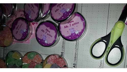 Latitas Personalizadas Rellenas Y Presentadas Con Tarjeta$25