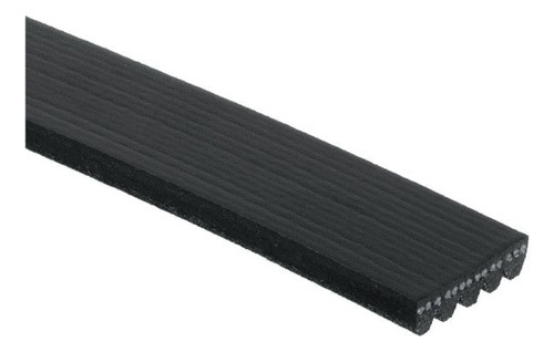 Banda De Accesorios D100 Pu Rwd 5.2 1975-1979 94.284cm Ctk